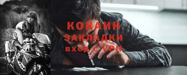 мдпв Гусь-Хрустальный