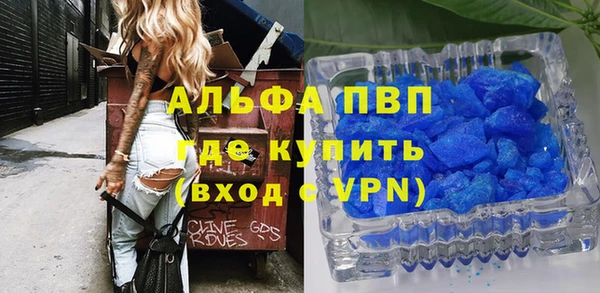 мдпв Гусь-Хрустальный
