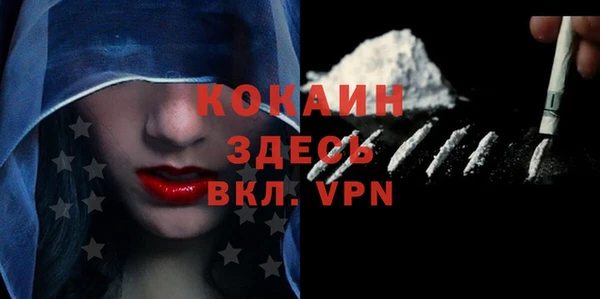 молекула духа Гусев