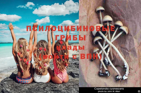 мдпв Гусь-Хрустальный