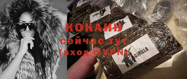 мдпв Гусь-Хрустальный