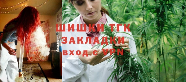 мдпв Гусь-Хрустальный