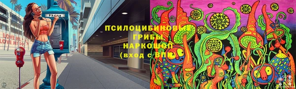 молекула духа Гусев
