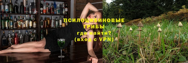 СК Гусиноозёрск