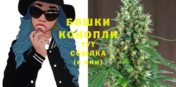 мдпв Гусь-Хрустальный