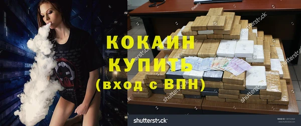мдпв Гусь-Хрустальный