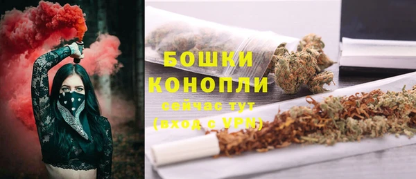 молекула духа Гусев