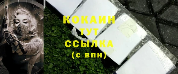 мдпв Гусь-Хрустальный